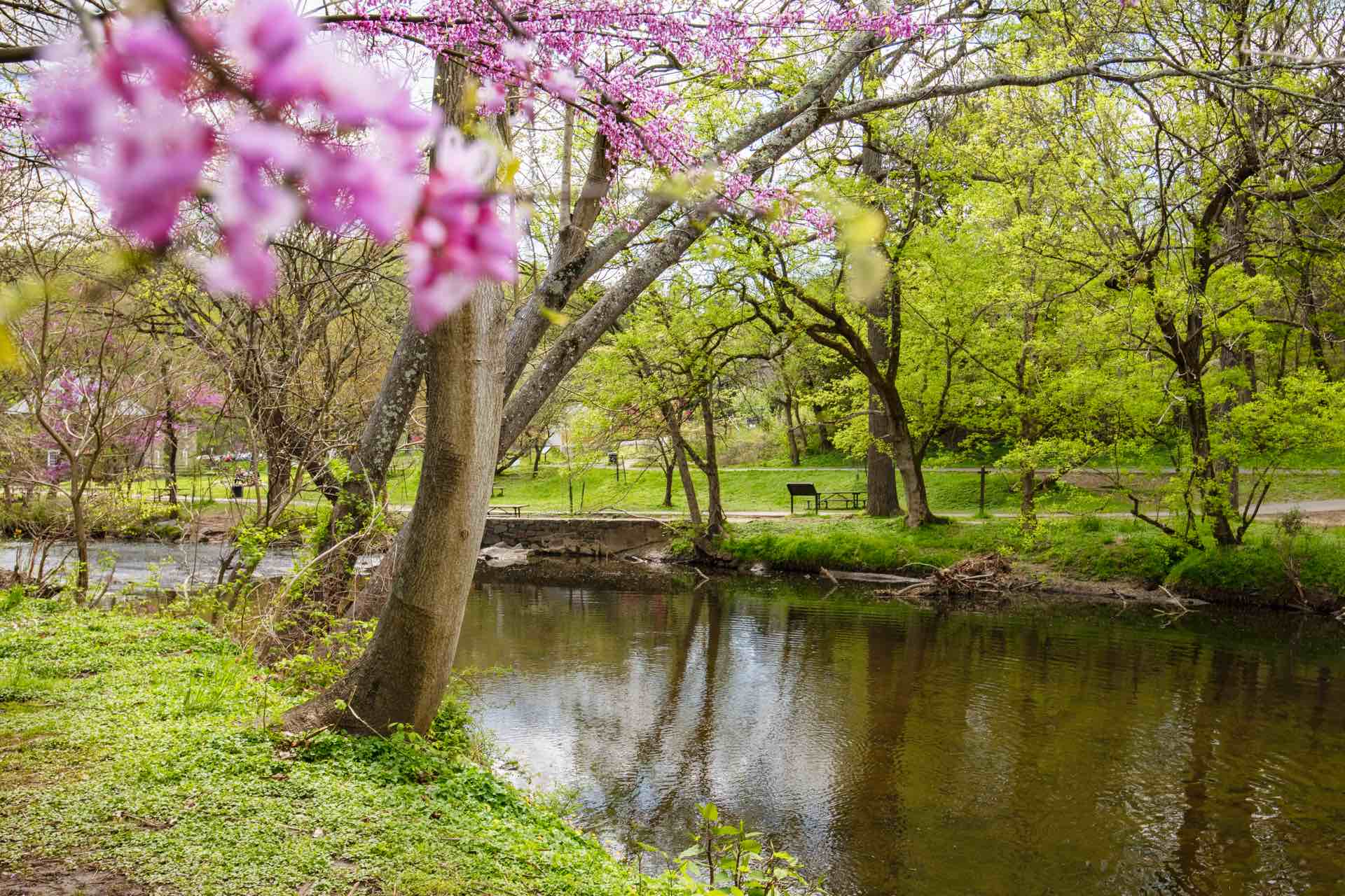 Nearby Walter Pierce Park
